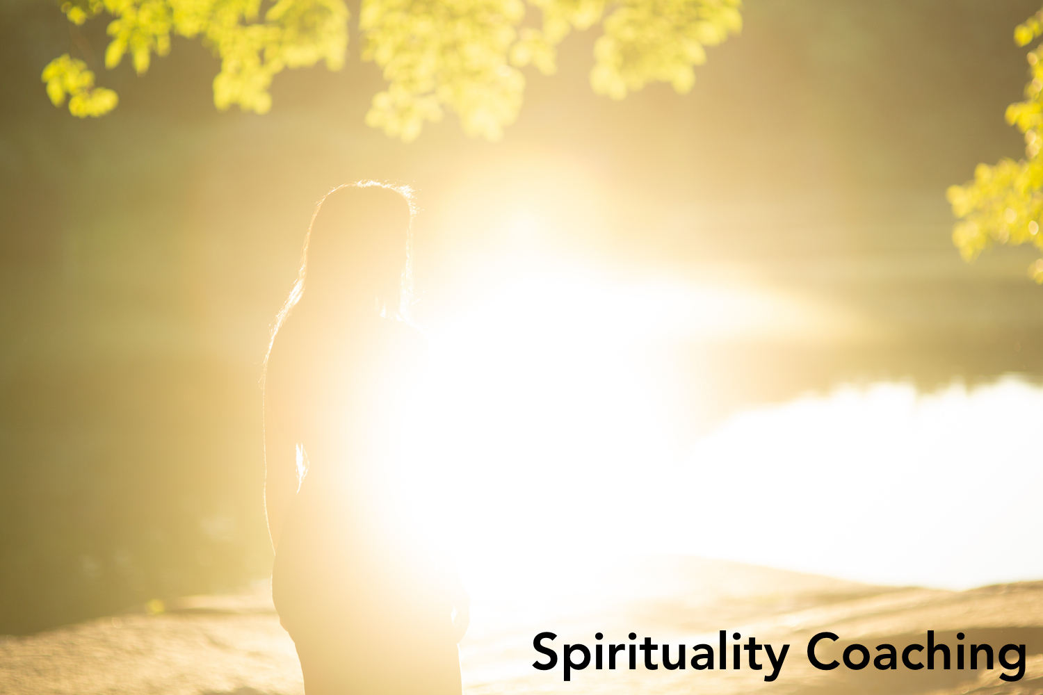 Spirituality Coaching in South Windsor, CT, Hartford County, Connecticut (formerly in Kew Gardens, Queens, New York City, New York, NY), and on the phone or online anywhere. South Windsor, CT, Hartford County, Connecticut Life Coach and Queens, New York Life Coach Ninette. Contact to speak with a Life Coach, Relationship Coach, Career Coach and Spirituality Coach in South Windsor, CT, Hartford County, Connecticut, CT (formerly in Kew Gardens, Queens, New York, NY), who offers life coaching, relationship coaching, career coaching and spirituality coaching in South Windsor, CT, Hartford County, Connecticut, CT and over the phone or online anywhere. Coaching in English And Hebrew. Seeking a life coach, relationship coach, career coach, or spirituality coach in South Windsor, CT, Hartford County, Connecticut, CT (formerly in Kew Gardens, Queens, New York, NY)? Contact South Windsor, CT, Hartford County, Connecticut Life Coach, Relationship Coach, Career Coach, and Spirituality Coach and Kew Gardens, Queens, New York Life Coach, Relationship Coach, Career Coach and Spirituality Coach Ninette for life coaching, relationship coaching, career coaching, and spirituality coaching in South Windsor, CT, Hartford County, Connecticut, CT (formerly in Kew Gardens, Queens, New York City, New York, NY) or over the phone or online anywhere. Life Coach, Relationship Coach, Career Coach and Spirituality Coach in South Windsor, CT, Hartford County, Connecticut, formerly in Kew Gardens, Queens, New York City, New York, NY, providing life coaching, relationship coaching, career coaching and spirituality coaching in South Windsor, CT, Hartford County, Connecticut, Kew Gardens, Queens, New York City, New York, NY, and over the phone or online anywhere. If you're seeking life coaching, relationship coaching, career coaching, or spirituality coaching in South Windsor, CT, Hartford County, Connecticut or Kew Gardens, Queens, New York City, New York, NY, contact South Windsor, CT, Hartford County, Connecticut Life Coach, Relationship Coach, Career Coach, and Spirituality Coach and Kew Gardens, Queens, New York Life Coach, Relationship Coach, Career Coach and Spirituality Coach Ninette for life coaching, relationship coaching, career coaching, and spirituality coaching in South Windsor, CT, Hartford County, Connecticut, CT, or Kew Gardens, Queens, New York City, New York, NY or over the phone or online anywhere. South Windsor, CT, Hartford County, Connecticut Life Coach, Relationship Coach, Career Coach and Spirituality Coach and Queens, New York Life Coach, Life Coach, Relationship Coach, Career Coach and Spirituality Coach in South Windsor, CT, Hartford County, Connecticut (formerly in Kew Gardens, Queens, New York City, New York, NY), providing life coaching, relationship coaching, career coaching and spirituality coaching in South Windsor, CT, Hartford County, Connecticut, CT (formerly in Kew Gardens, Queens, New York City, New York, NY) and over the phone or online anywhere, for powerful, empowering life coaching. Get ready for amazing coaching and guidance! Contact Life Coach Ninette to speak with a life coach, relationship coach, career coach and spirituality coach in South Windsor, CT, Hartford County, Connecticut, CT (formerly in Kew Gardens, Queens, New York City, New York, NY) for life coaching, relationship coaching, career coaching and spirituality coaching in South Windsor, CT, Hartford County, Connecticut, CT (formerly in Kew Gardens, Queens, New York City, New York, NY). South Windsor, CT, Hartford County, Connecticut Life Coach, Relationship Coach, Career Coach, and Spirituality Coach and Queens, New York Life Coach, Relationship Coach, Career Coach, and Spirituality Coach Ninette provides life coaching, relationship coaching, career coaching and spirituality coaching in South Windsor, CT, Hartford County, Connecticut, CT (formerly in Kew Gardens, Queens, New York City, New York, NY) and over the phone or online anywhere!